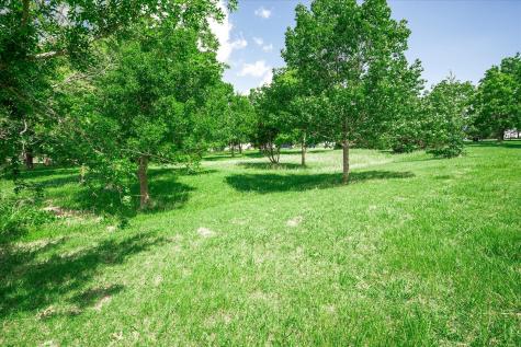 Lot 60 El Sueno Corsicana TX 75019