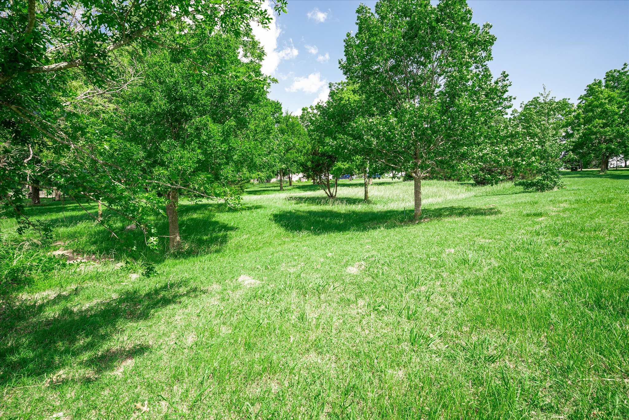Lot 60 El Sueno Corsicana TX 75019