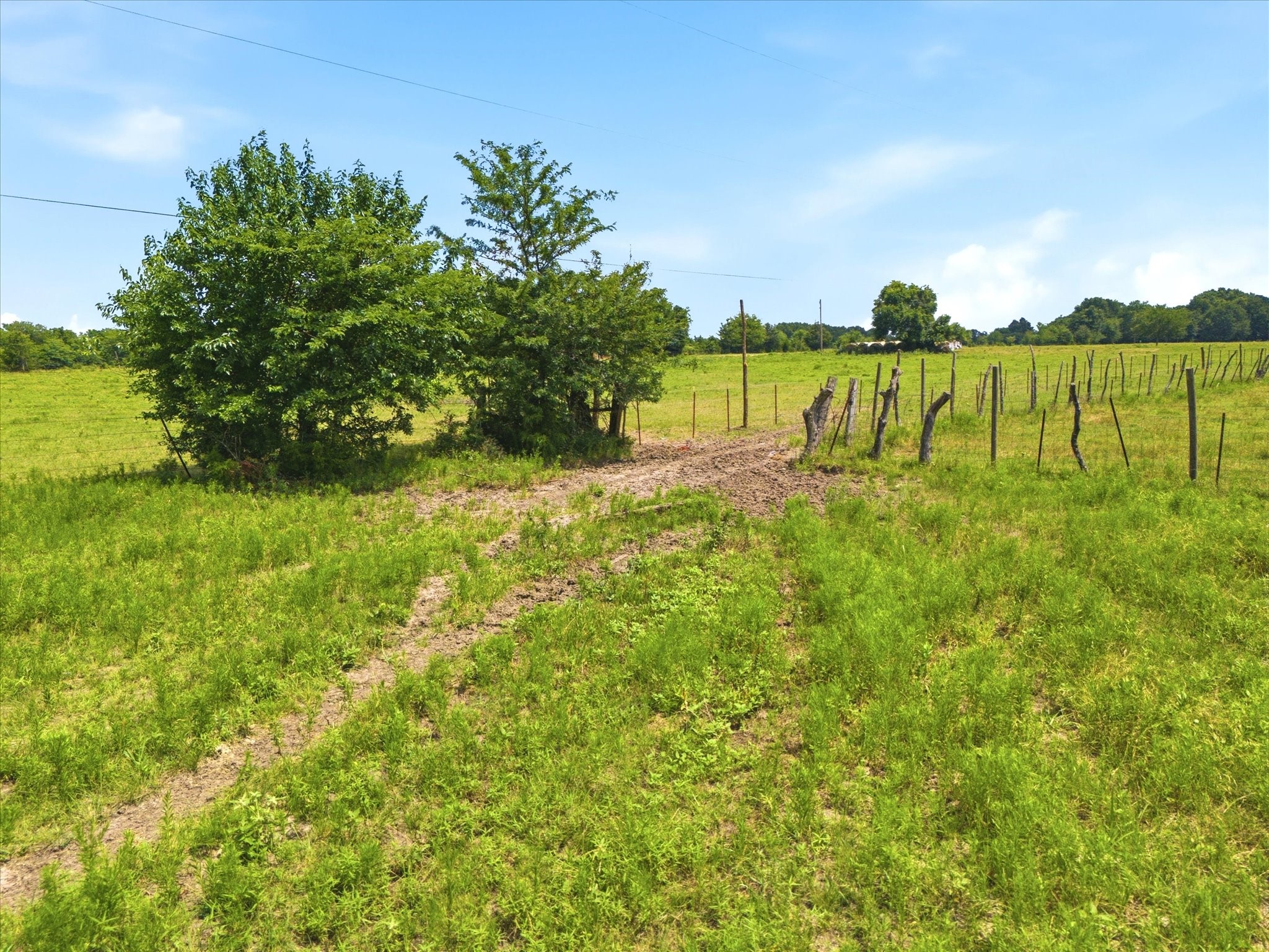 Tbd Fm 2736 Greenville TX 75401