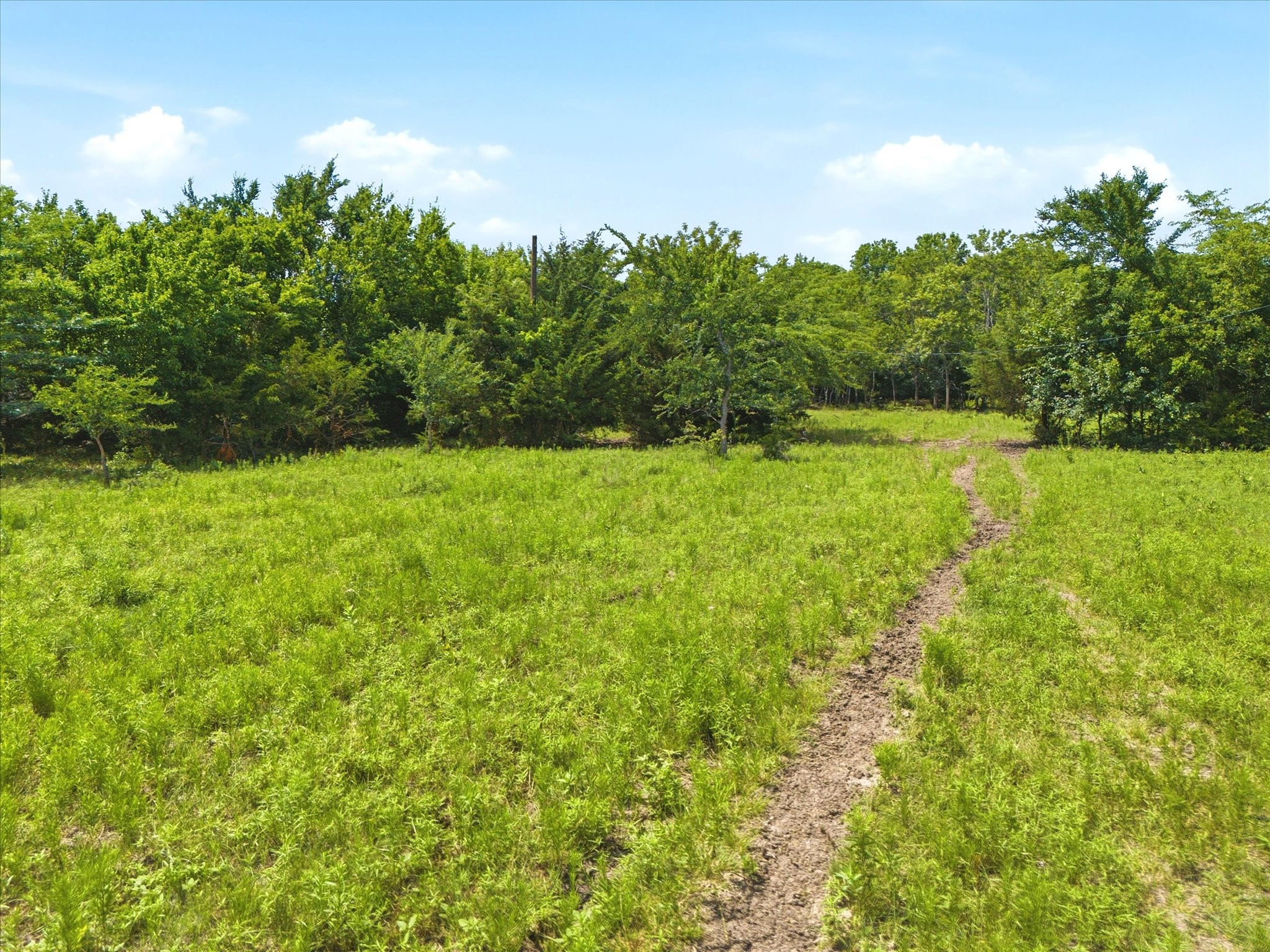 Tbd Fm 2736 Greenville TX 75401