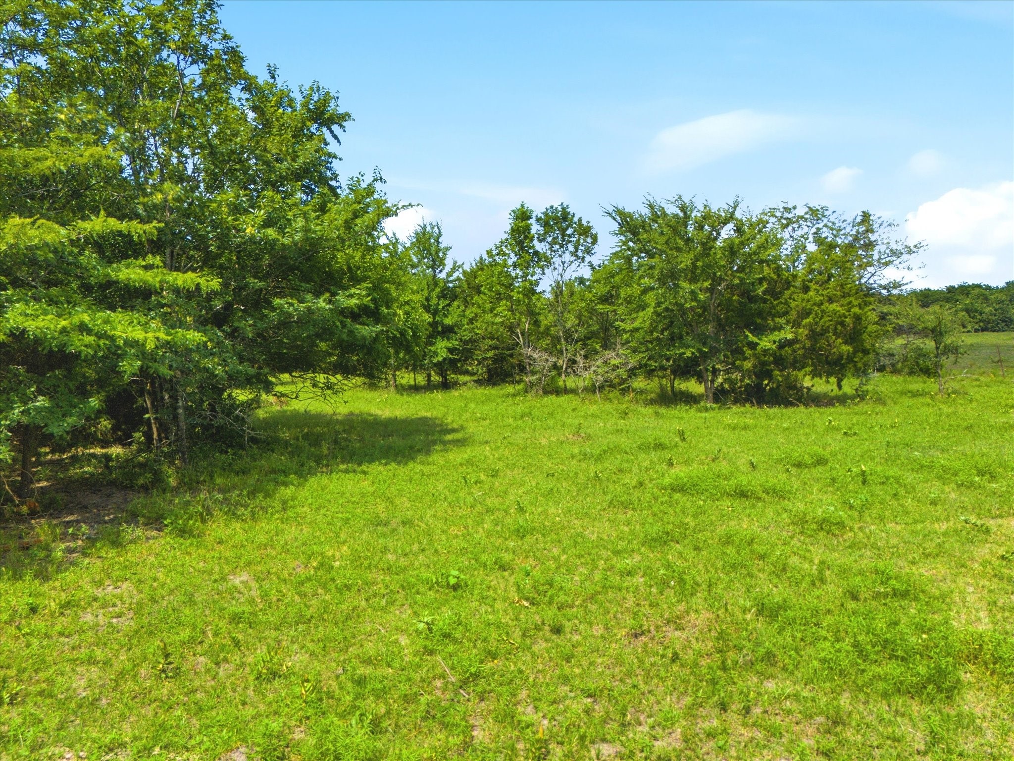 Tbd Fm 2736 Greenville TX 75401