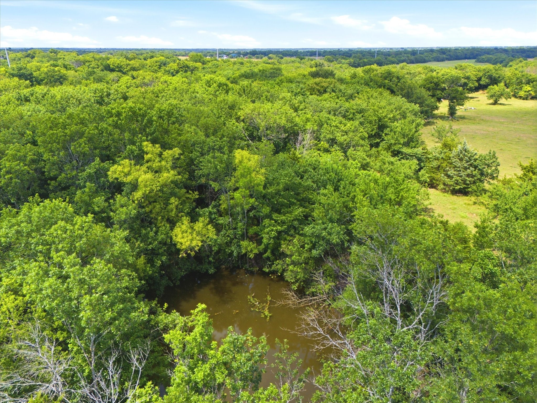 Tbd Fm 2736 Greenville TX 75401