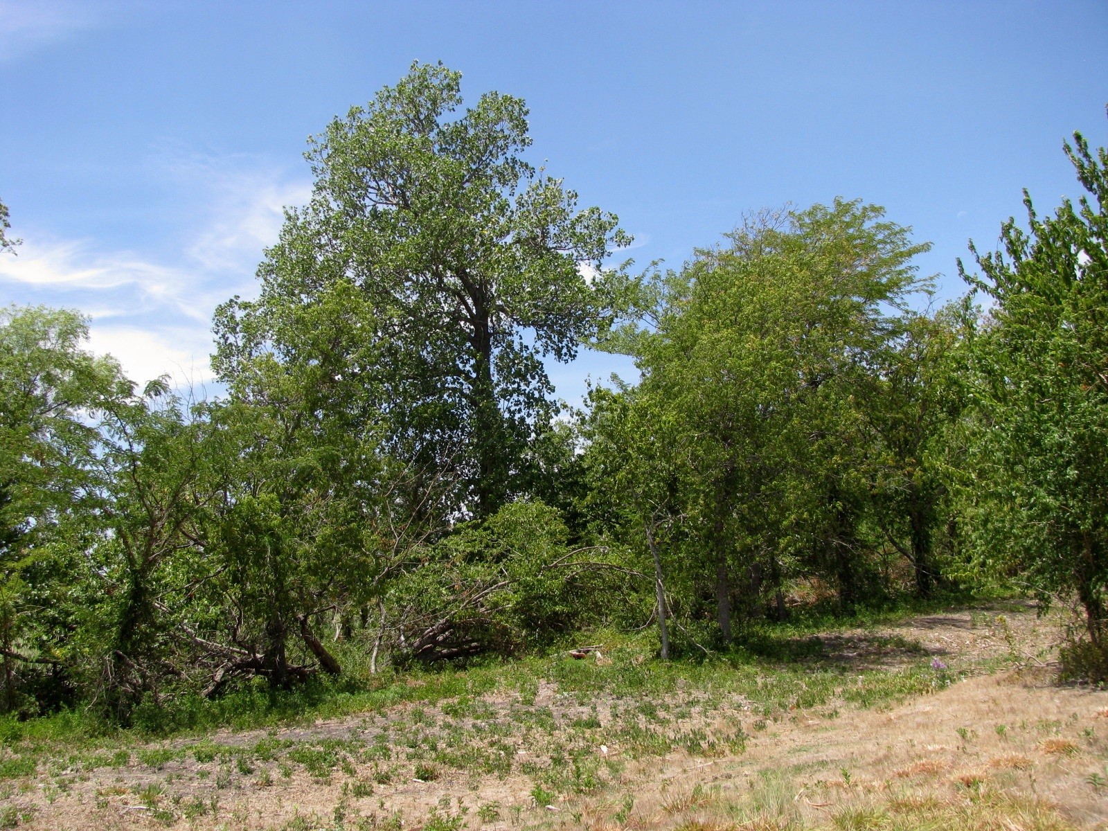 Tbd County Road 404 Hamilton TX 76531