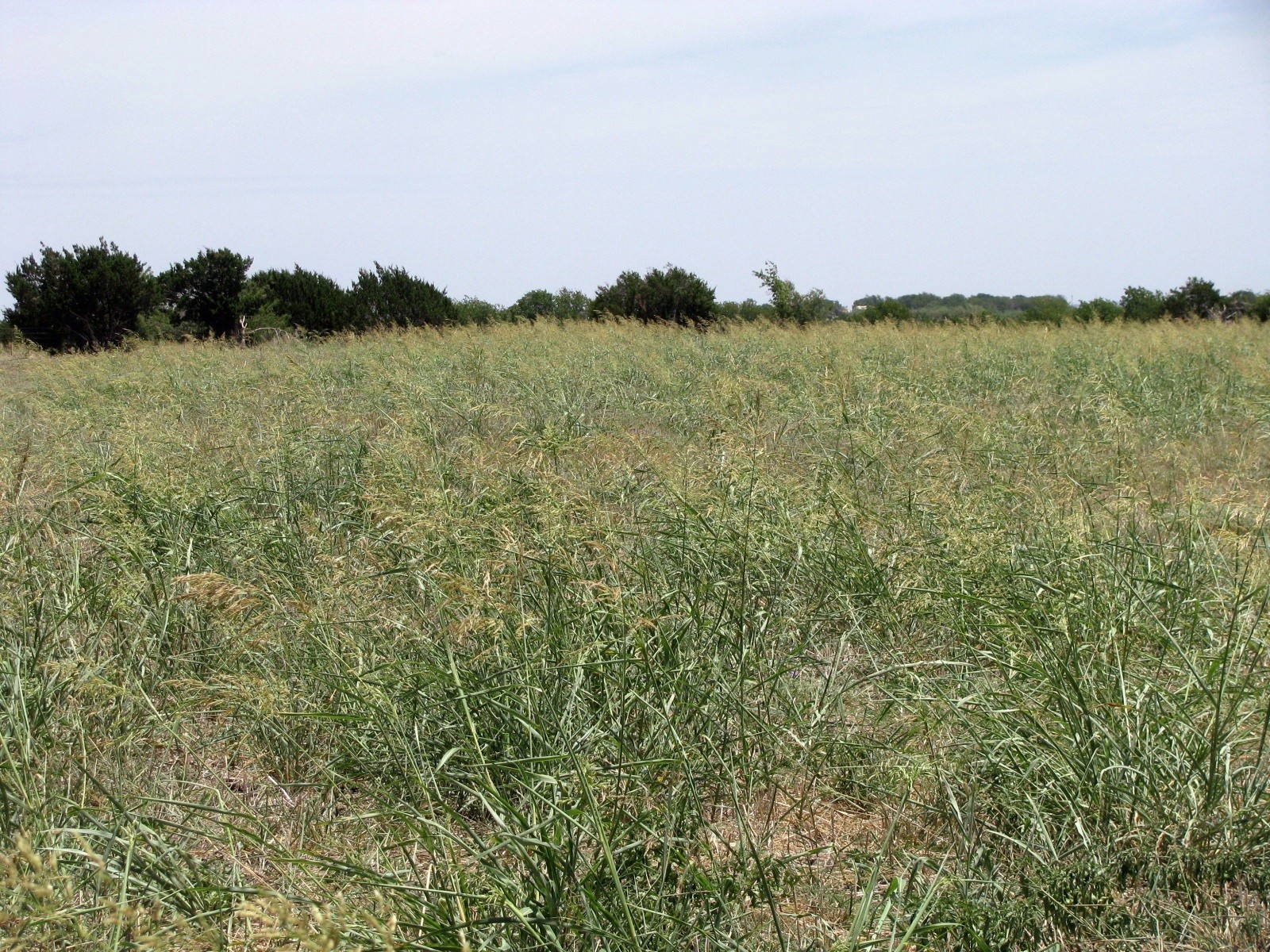 Tbd County Road 404 Hamilton TX 76531