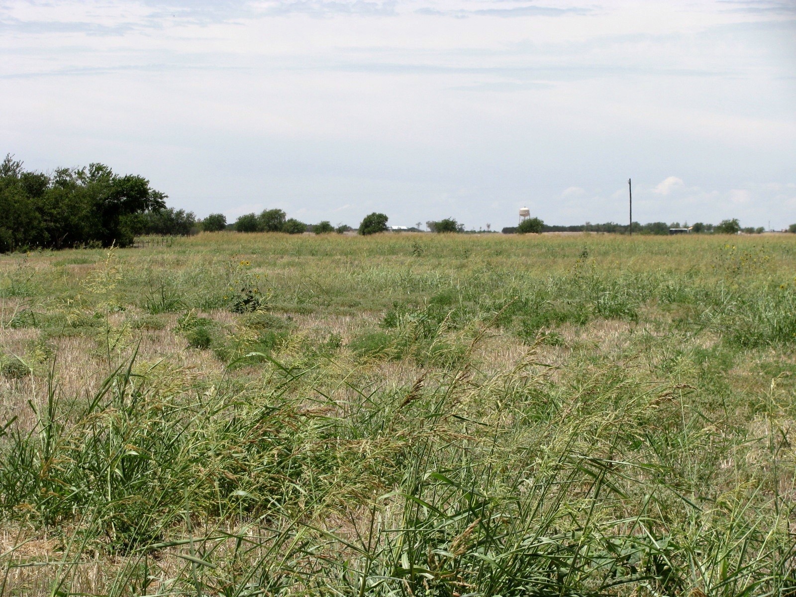 Tbd County Road 404 Hamilton TX 76531