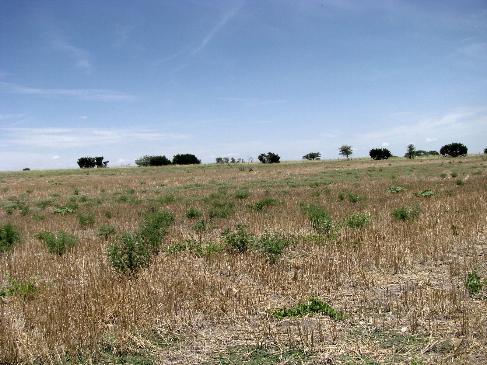 Tbd County Road 404 Hamilton TX 76531