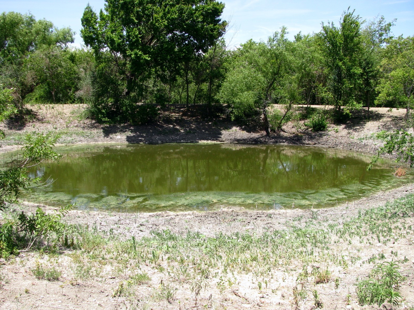 Tbd County Road 404 Hamilton TX 76531