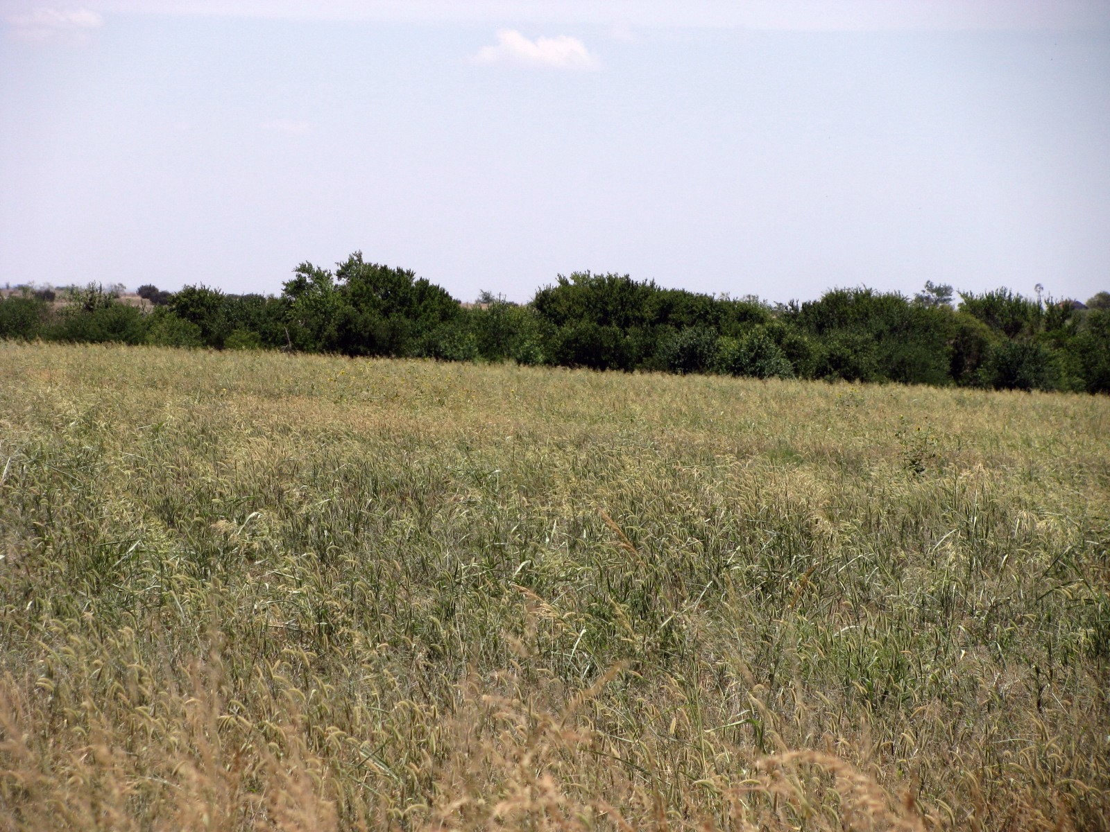 Tbd County Road 404 Hamilton TX 76531