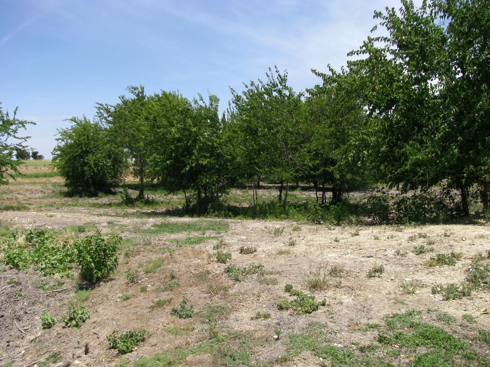 Tbd County Road 404 Hamilton TX 76531