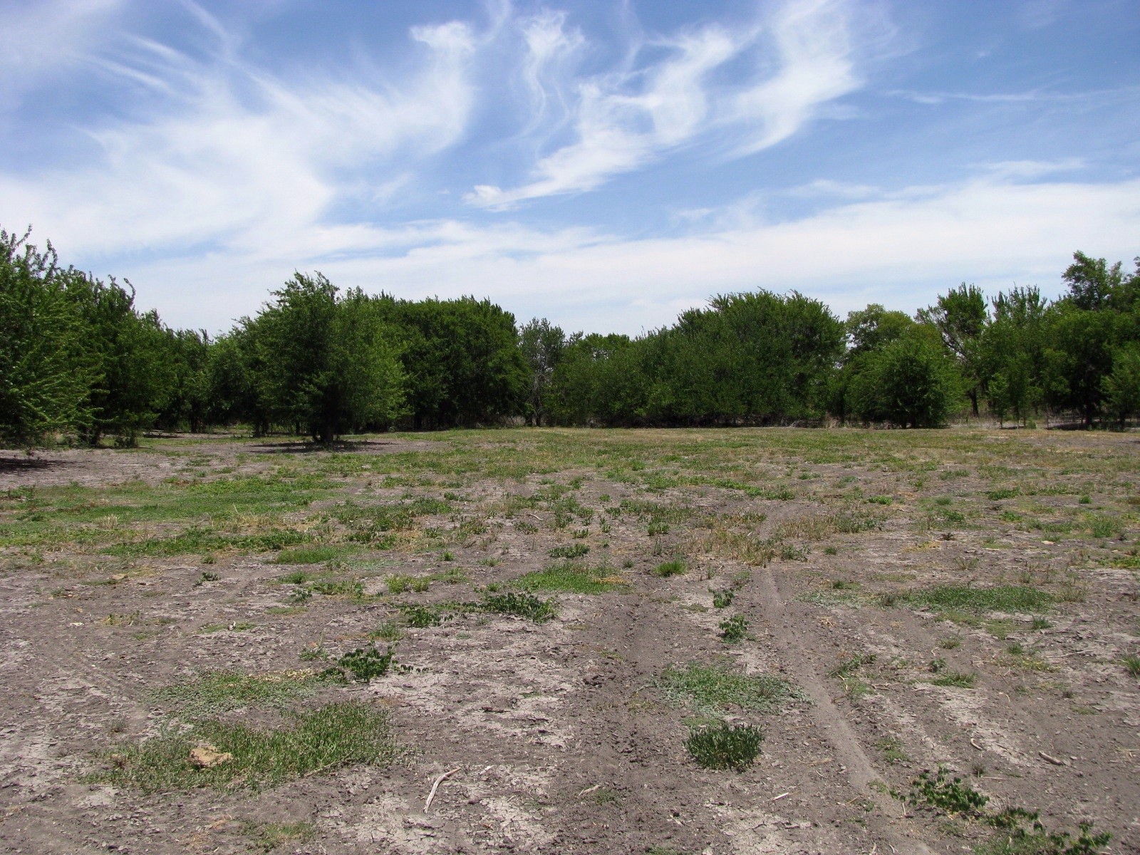 Tbd County Road 404 Hamilton TX 76531