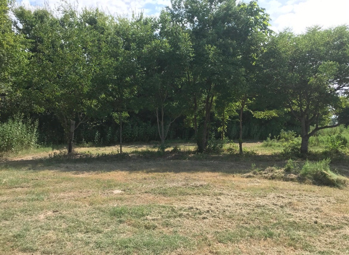 0 St Highway 274 Tool TX 75143