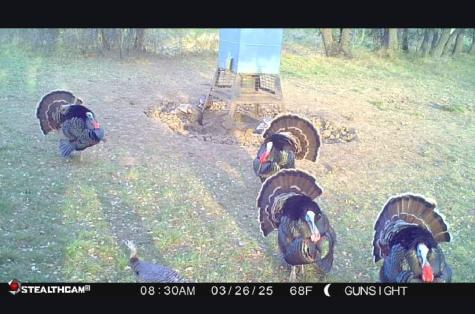 Tbd County Road 154 Breckenridge TX 76424
