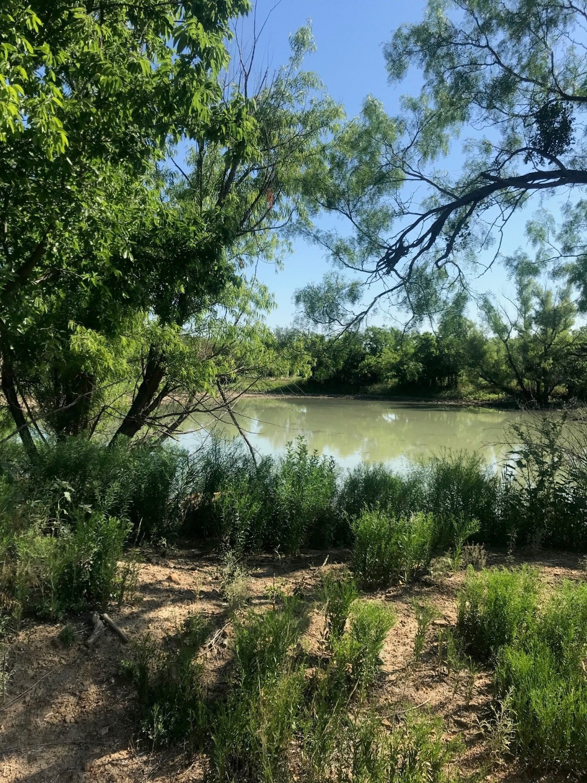 Tbd County Road 154 Breckenridge TX 76424