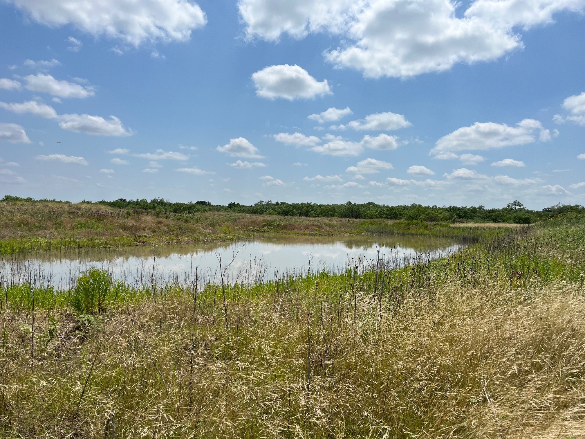 Tbd County Road 154 Breckenridge TX 76424