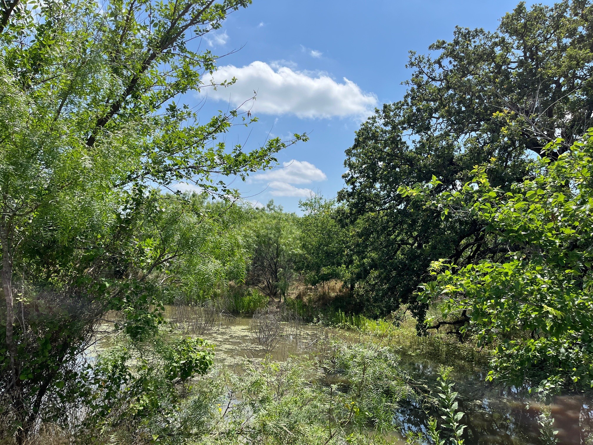 Tbd County Road 154 Breckenridge TX 76424