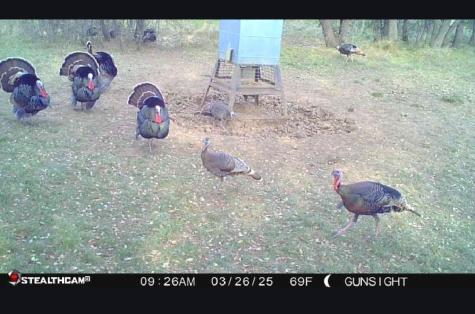 Tbd County Road 154 Breckenridge TX 76424