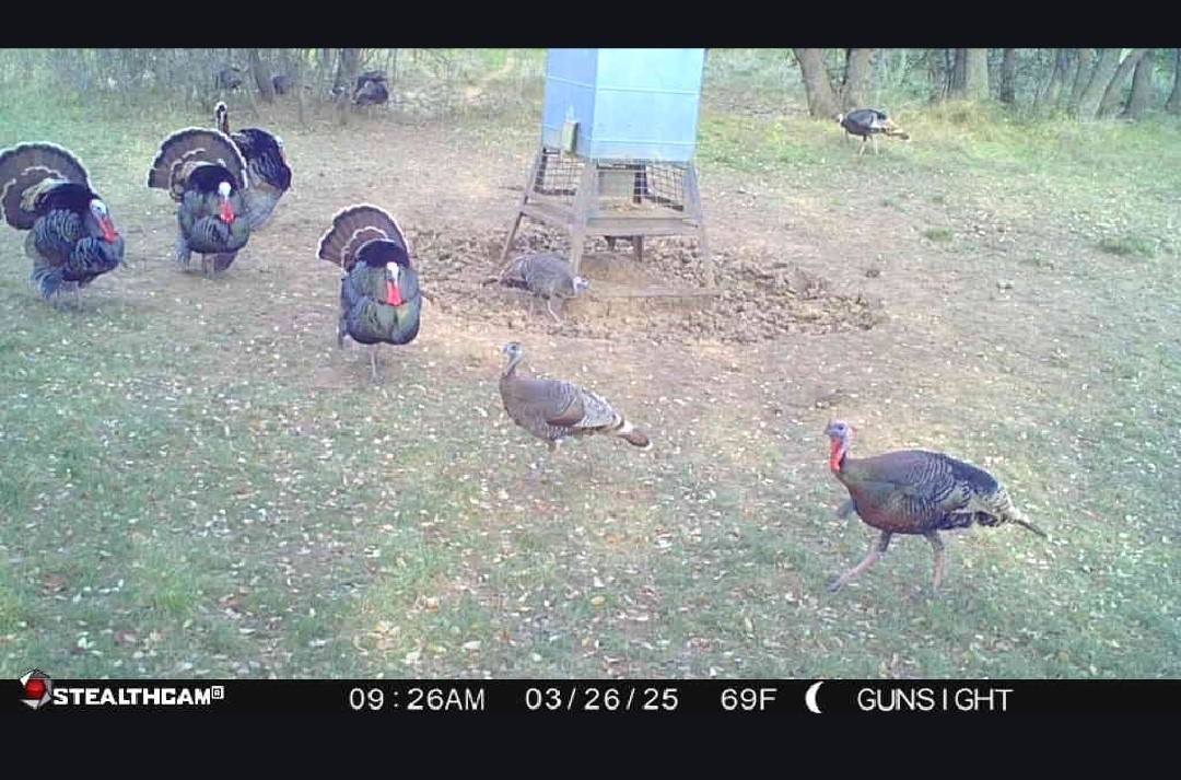 Tbd County Road 154 Breckenridge TX 76424