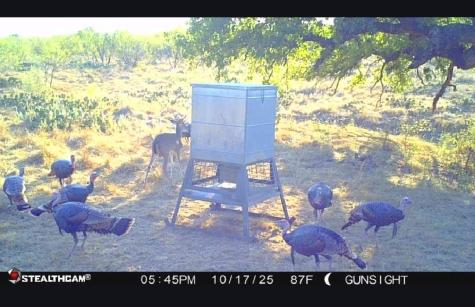 Tbd County Road 154 Breckenridge TX 76424