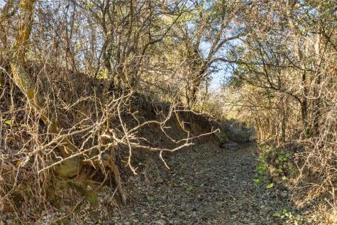 Tbd County Road 154 Breckenridge TX 76424