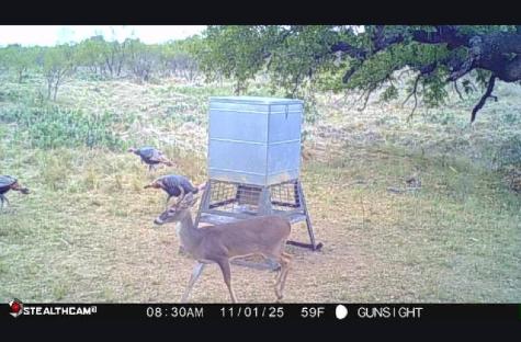 Tbd County Road 154 Breckenridge TX 76424