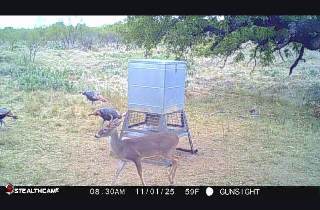 Tbd County Road 154 Breckenridge TX 76424