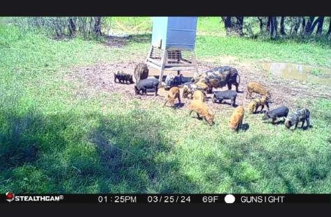 Tbd County Road 154 Breckenridge TX 76424