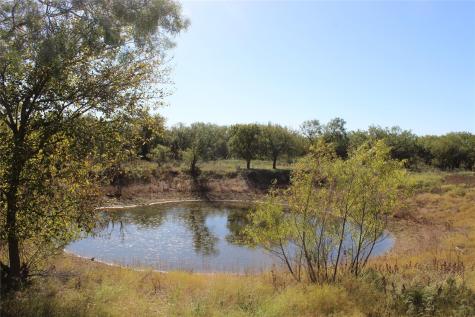 Tbd County Road 154 Breckenridge TX 76424