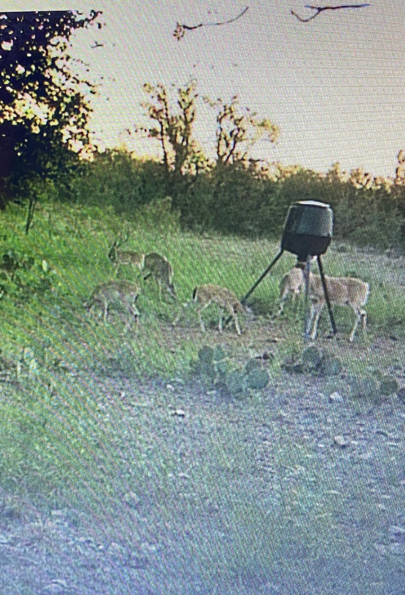 Tbd County Road 225 Brookesmith TX 76827