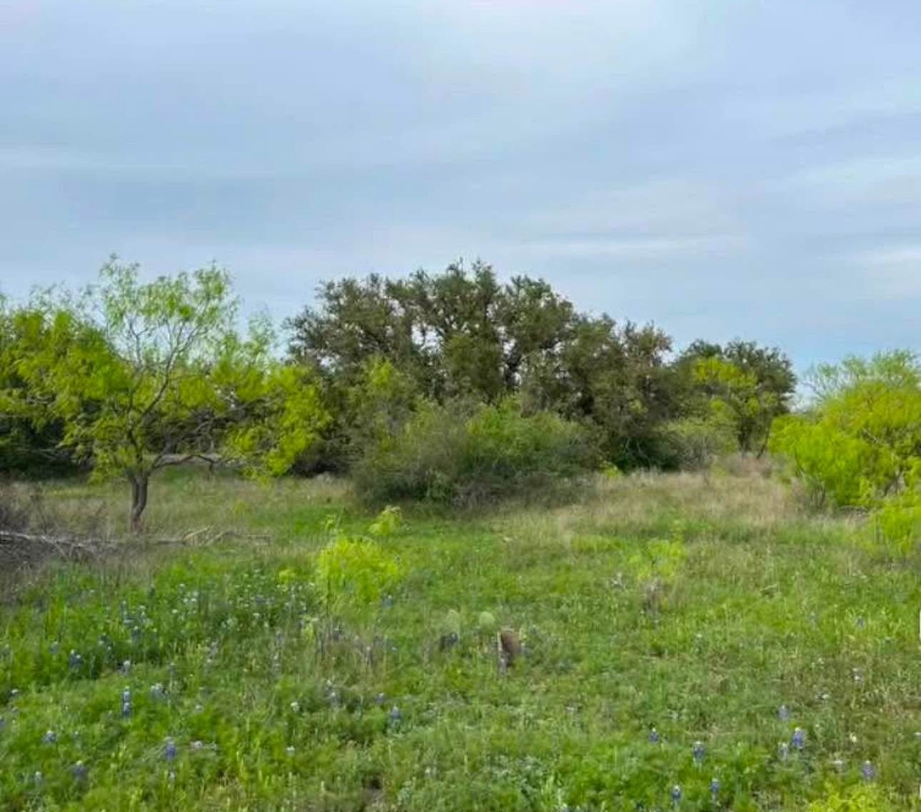 Tbd County Road 225 Brookesmith TX 76827
