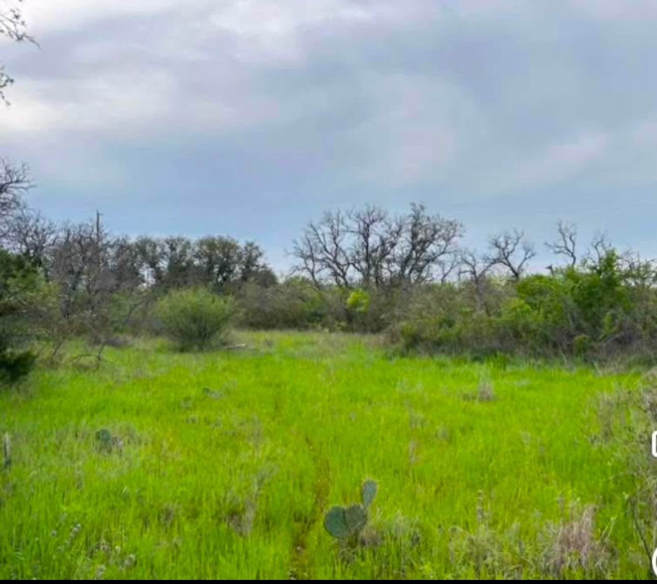Tbd County Road 225 Brookesmith TX 76827