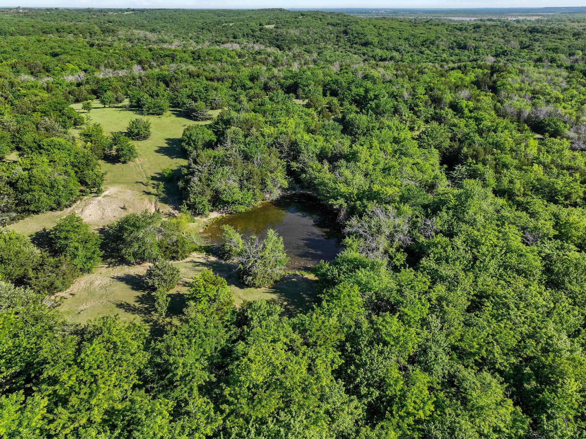 432 Acres Slickum Slough Road Whitesboro TX 76273