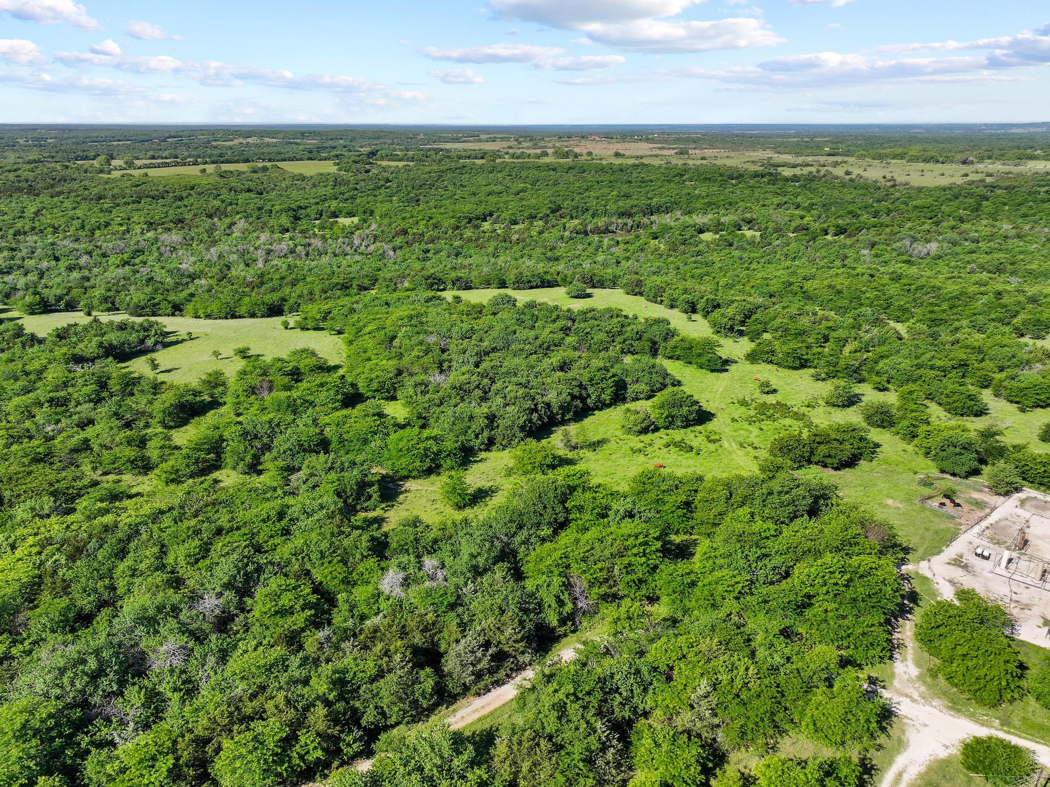 432 Acres Slickum Slough Road Whitesboro TX 76273