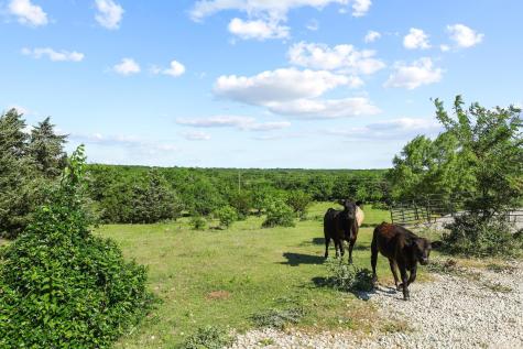 432 Acres Slickum Slough Road Whitesboro TX 76273