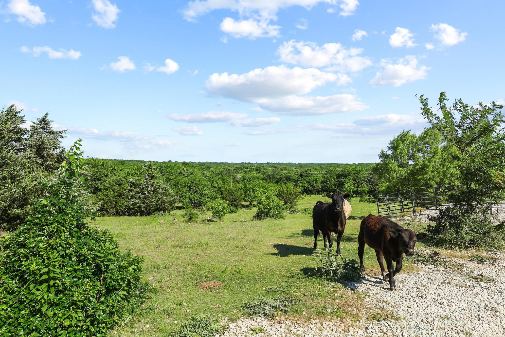 432 Acres Slickum Slough Road Whitesboro TX 76273