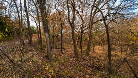 432 Acres Slickum Slough Road Whitesboro TX 76273