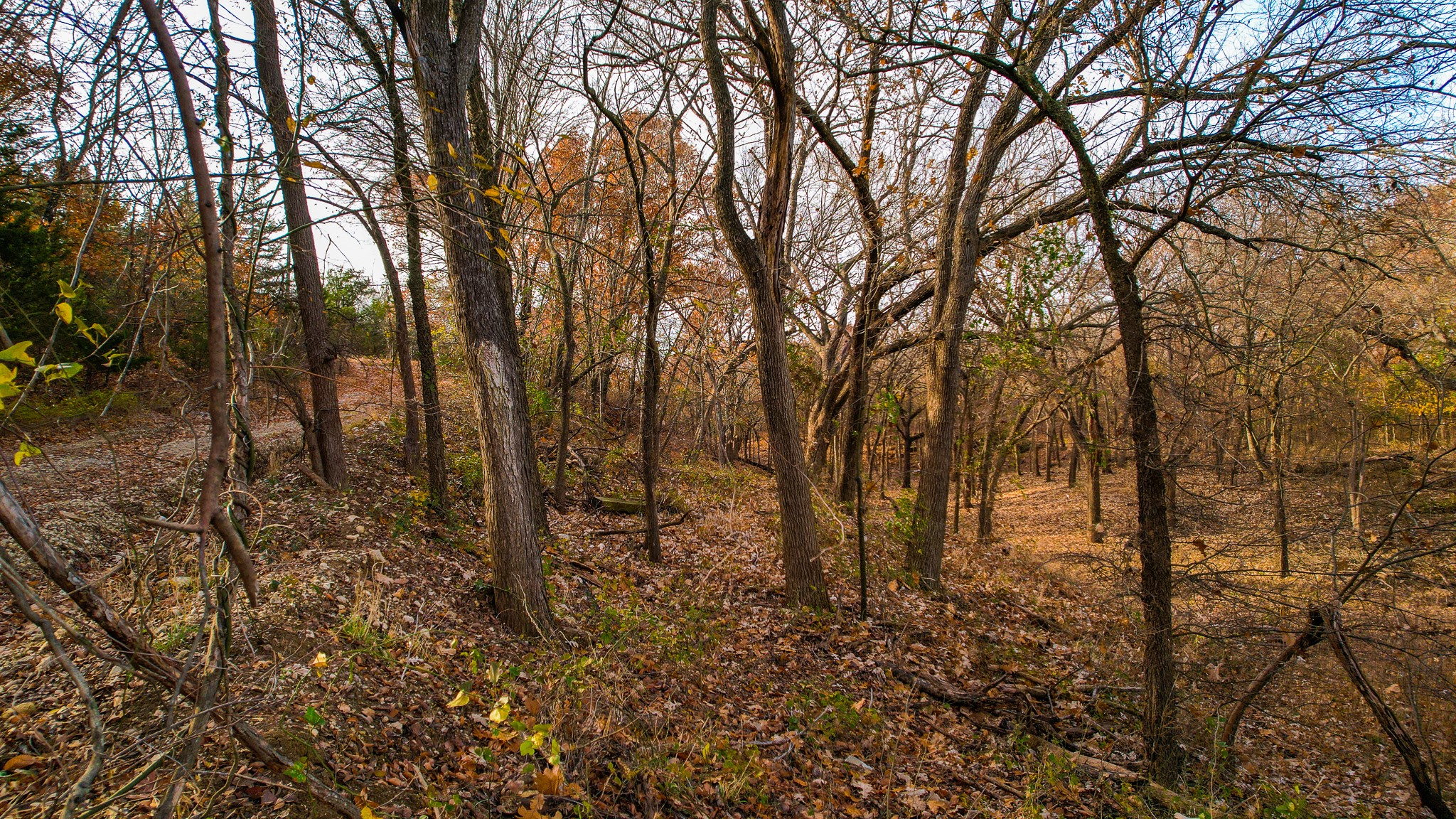 432 Acres Slickum Slough Road Whitesboro TX 76273