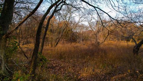 432 Acres Slickum Slough Road Whitesboro TX 76273