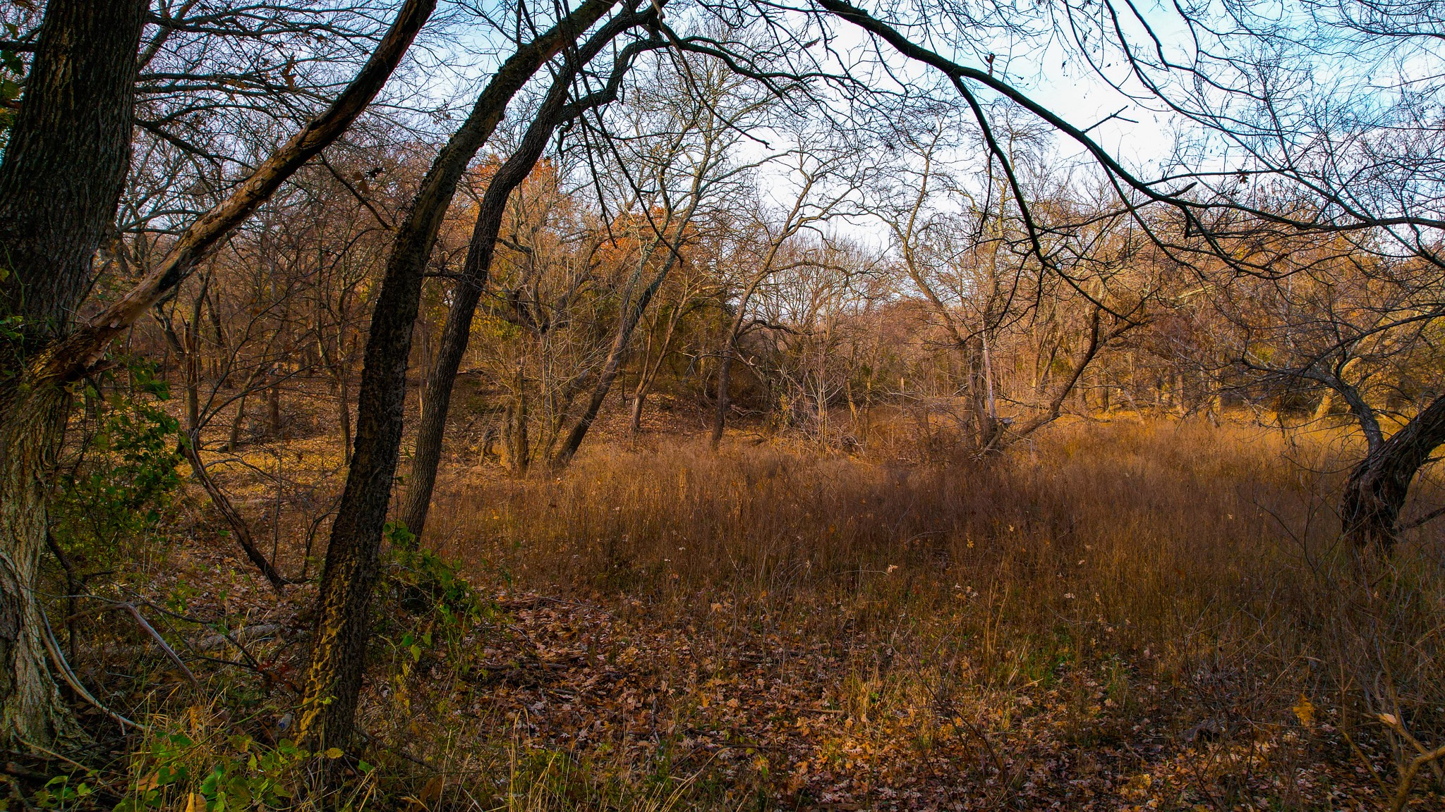 432 Acres Slickum Slough Road Whitesboro TX 76273