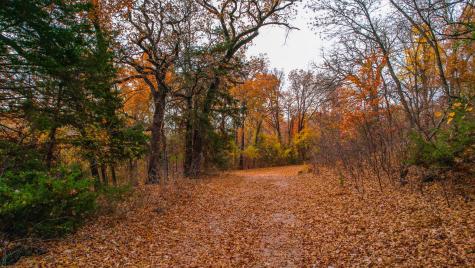 432 Acres Slickum Slough Road Whitesboro TX 76273