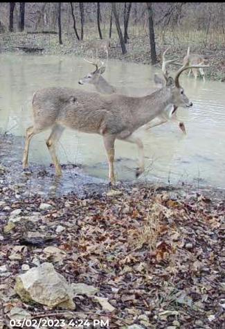432 Acres Slickum Slough Road Whitesboro TX 76273