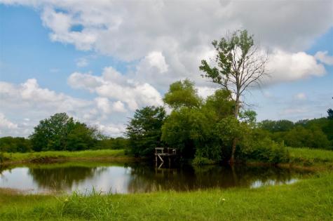 0000 Reeves Road Pottsboro TX 75076