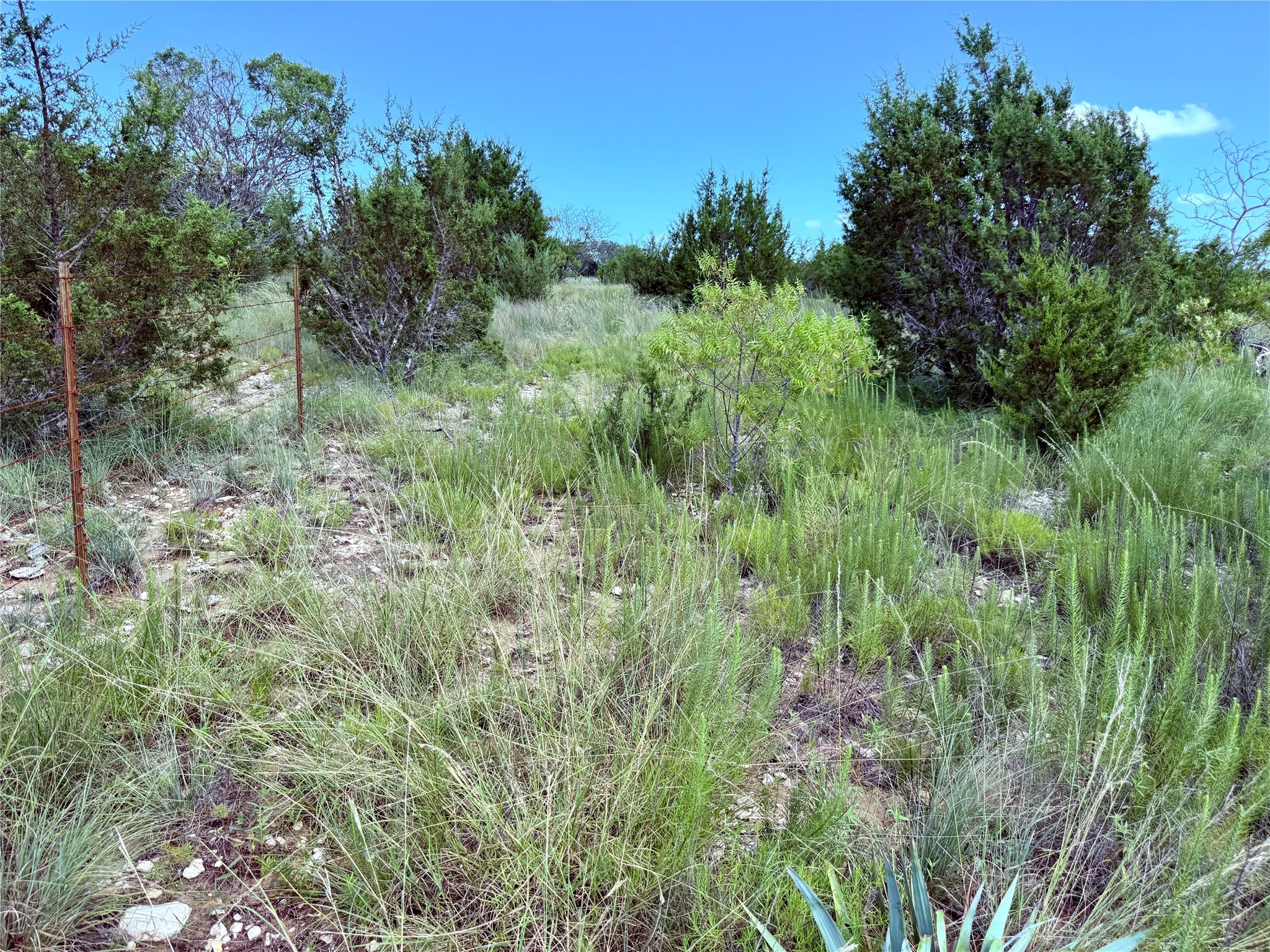 Lot 16 Private Road 3032 Road Hamilton TX 76531