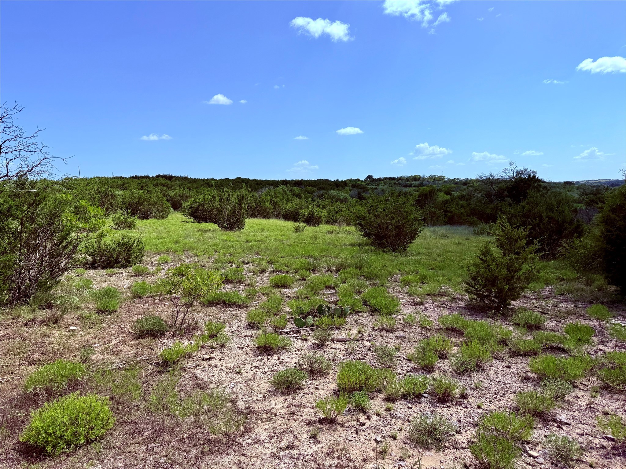 Lot 16 Private Road 3032 Road Hamilton TX 76531