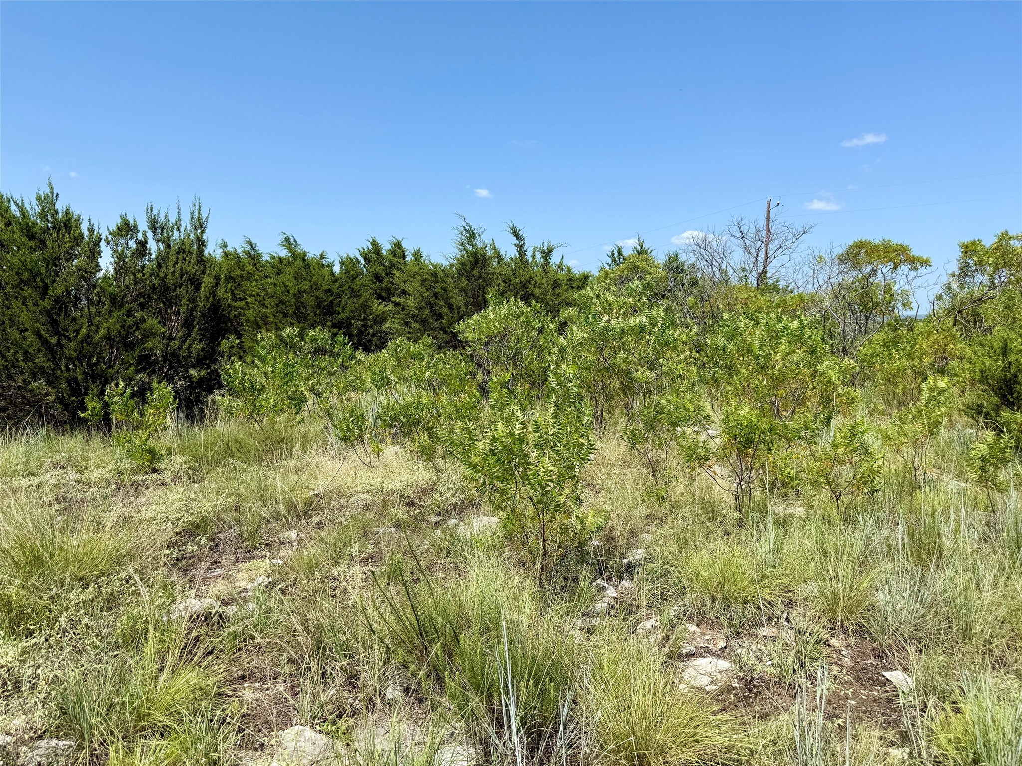 Lot 16 Private Road 3032 Road Hamilton TX 76531