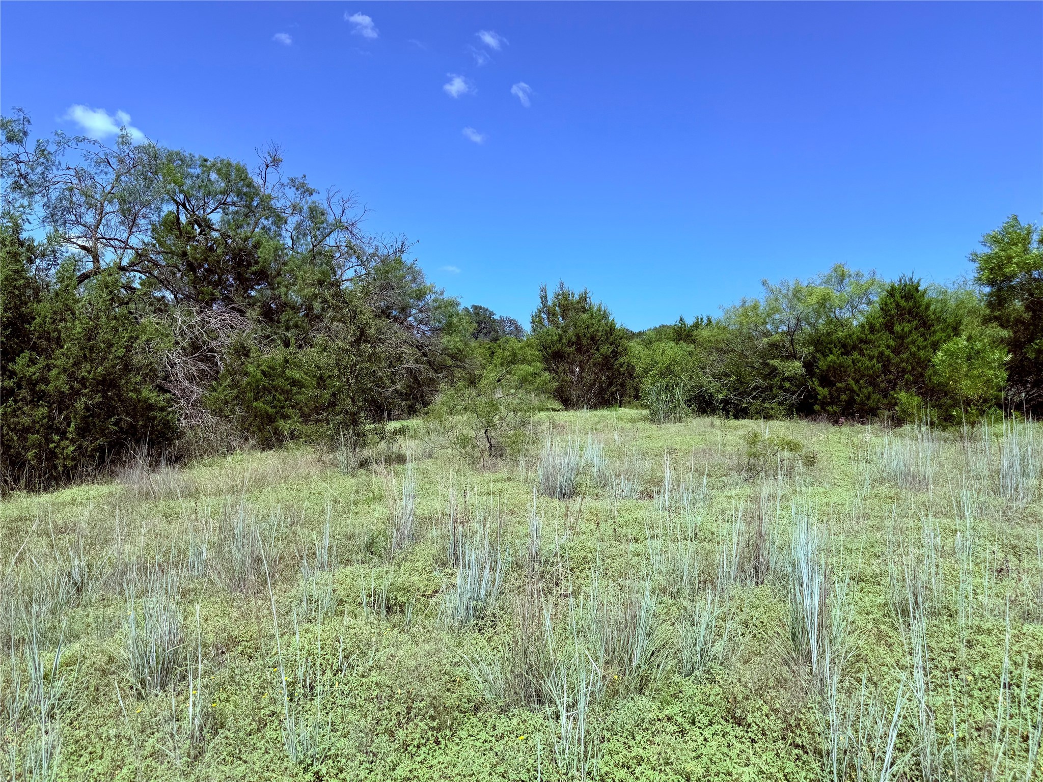 Lot 16 Private Road 3032 Road Hamilton TX 76531