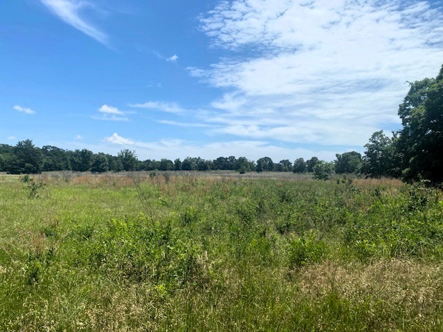 Tbd Cr 1119 Athens TX 75751
