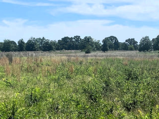 Tbd Cr 1119 Athens TX 75751