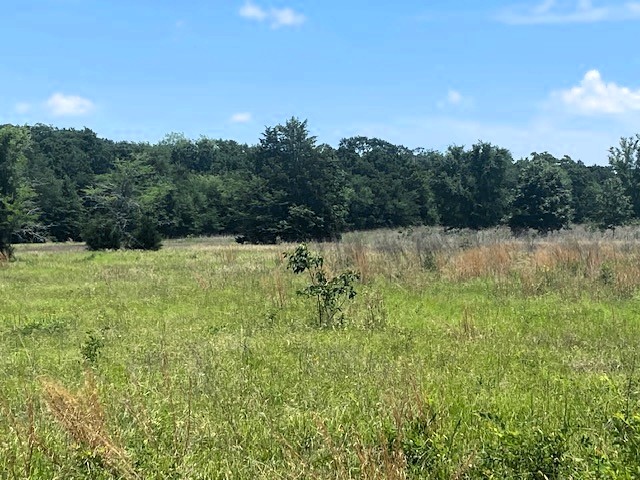 Tbd Cr 1119 Athens TX 75751