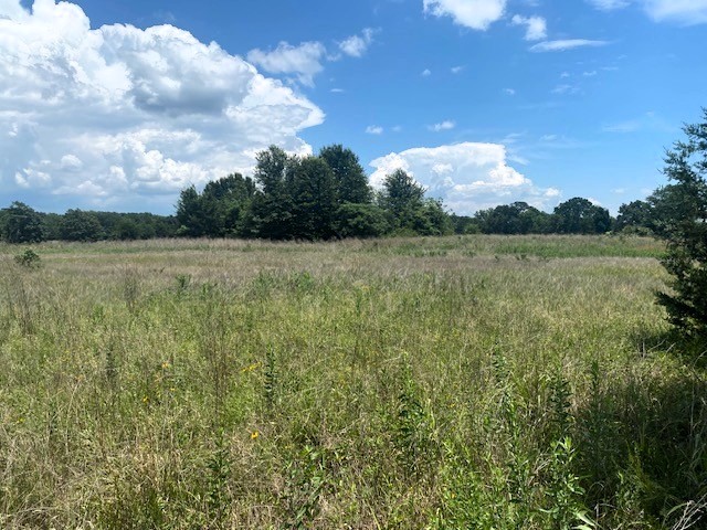 Tbd Cr 1119 Athens TX 75751
