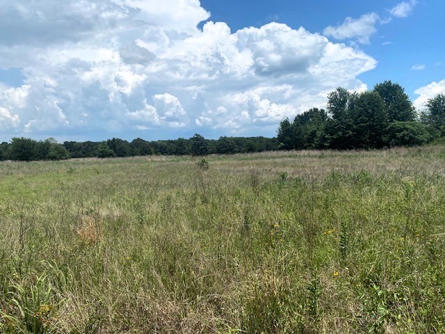 Tbd Cr 1119 Athens TX 75751